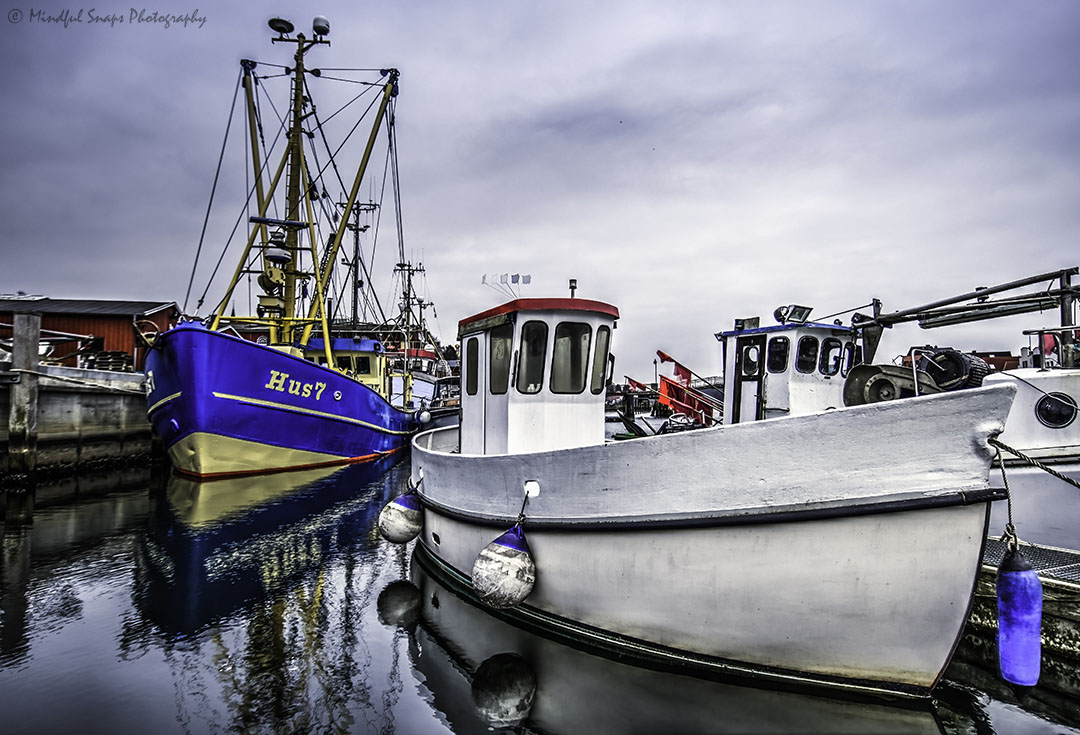 Click to see my gallery of images from the Baltic Sea